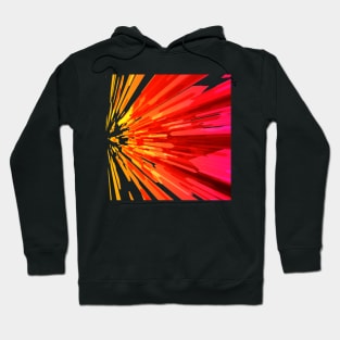 3D Art Hoodie